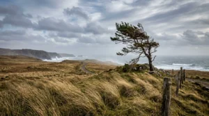 wind nature riddles
